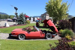 auto recycler in the garden with landscaping 